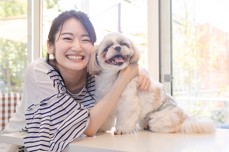 優しいトータルケアでワンちゃんも大満足